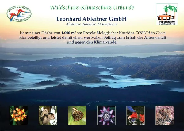 Muster- Urkunde Regenwald der Österreich