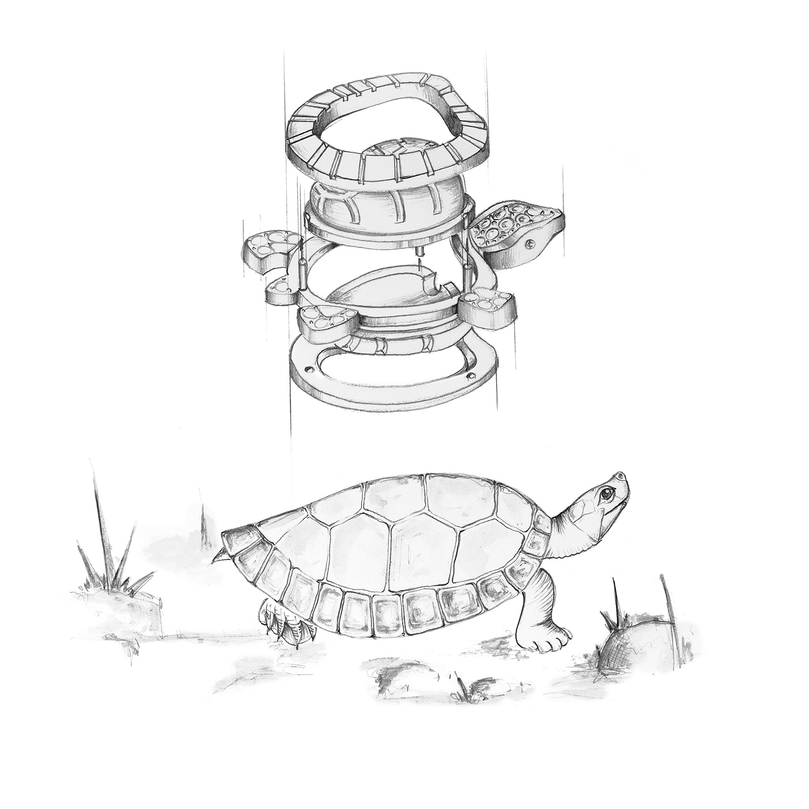 Die Batagur-Flussschildkröte wurde im Collier Batagur von der Manufaktur Ableitner auf einzigartige Weise in ein Schmuckstück verwandelt.