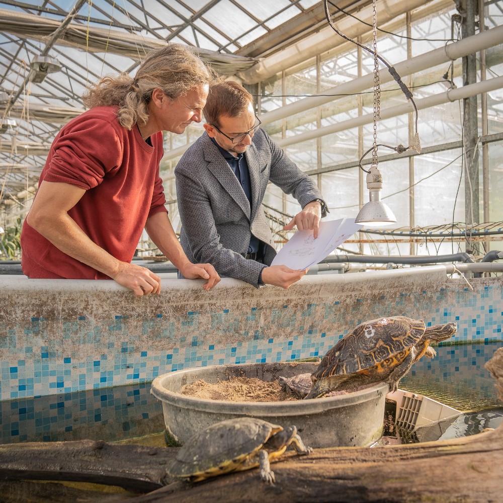 Die Manufaktur Ableitner aus Lieboch bei Graz unterstützt das Artenschutzprojekt Turtle Island.